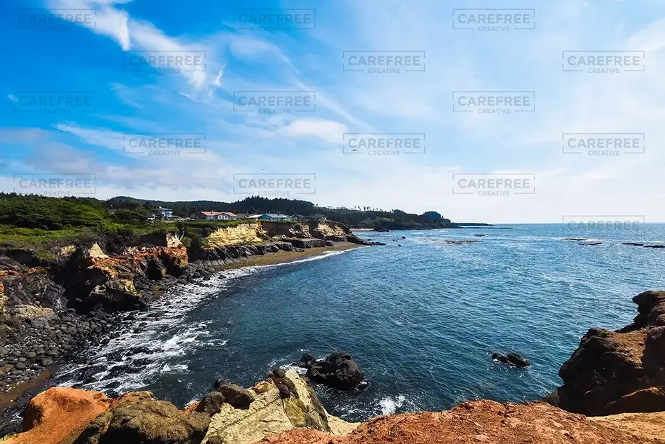 General Section Image