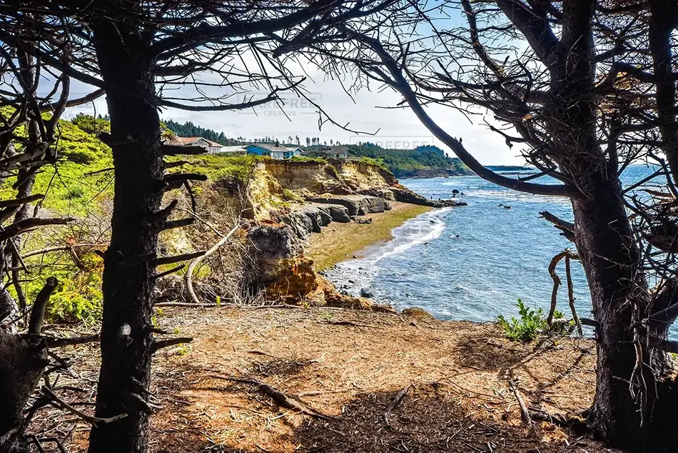 General Section Image