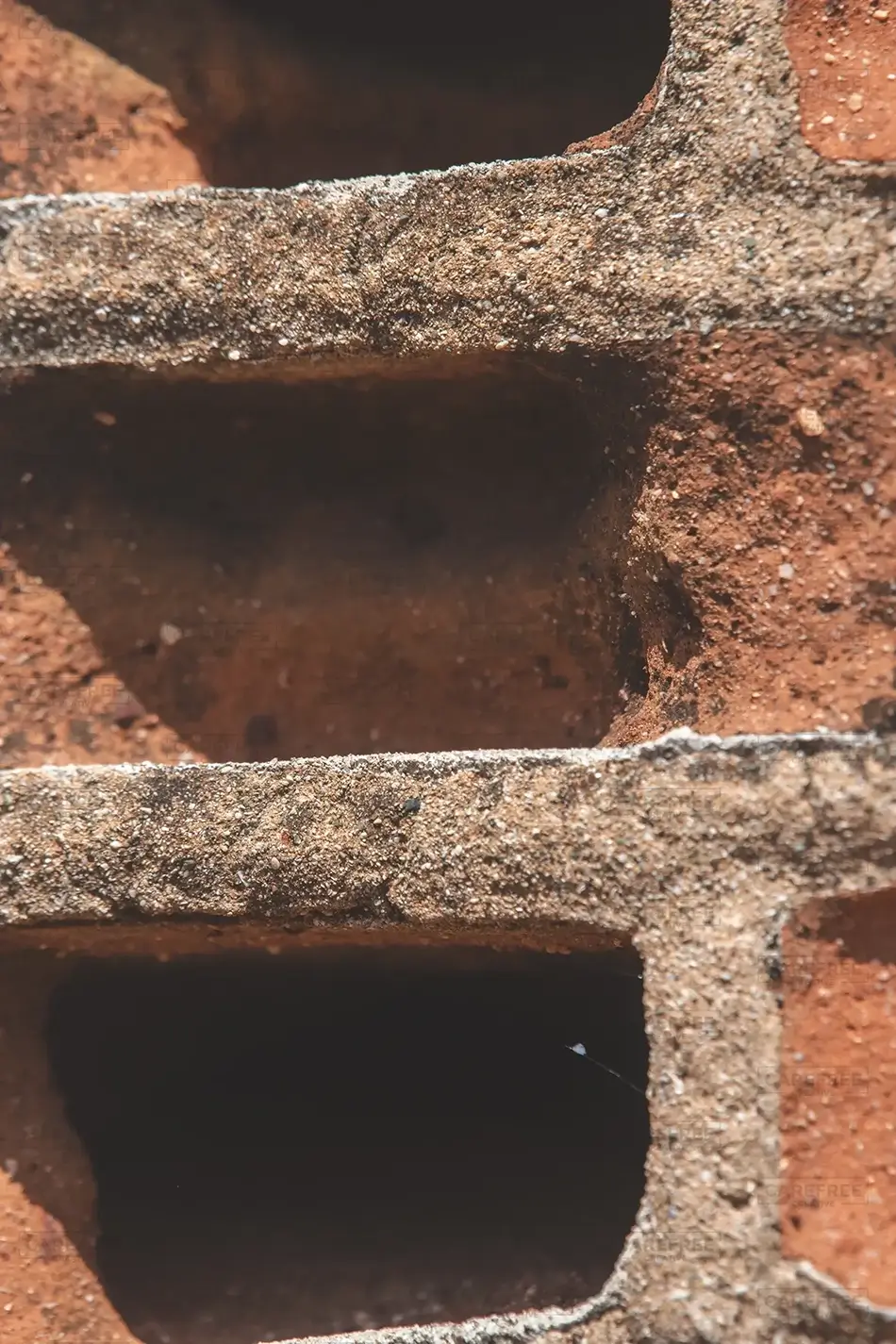 General Section Image