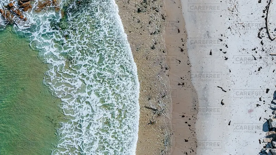 General Section Image