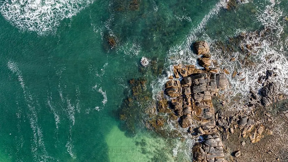 General Section Image