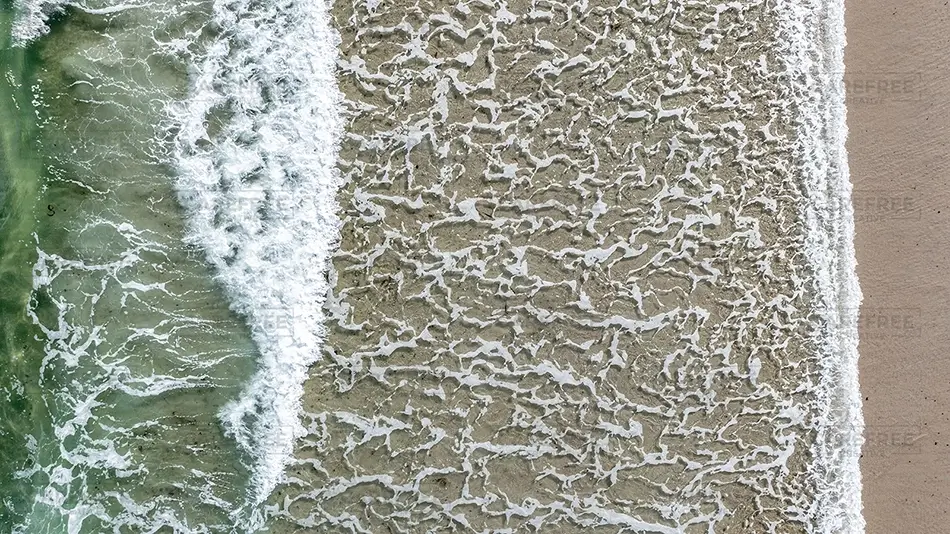 General Section Image