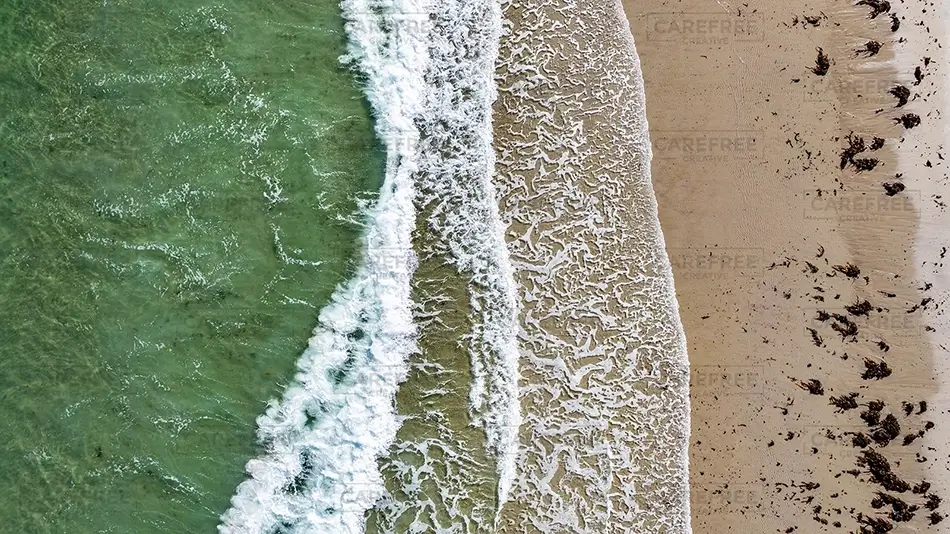 General Section Image