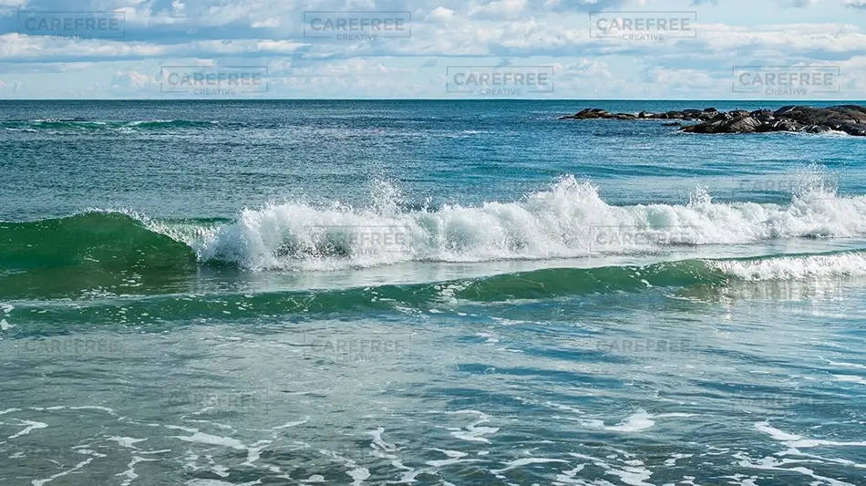 General Section Image