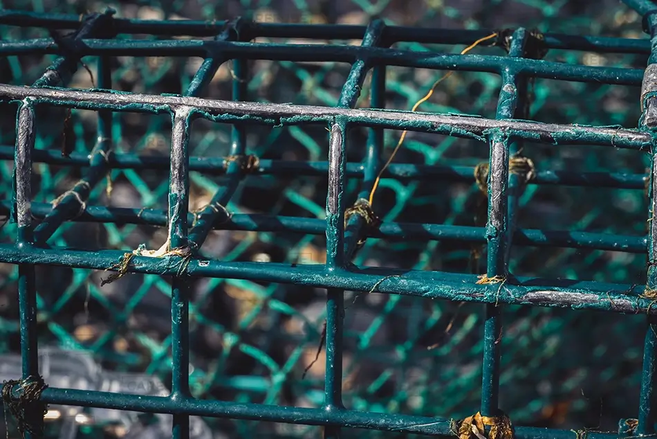 General Section Image