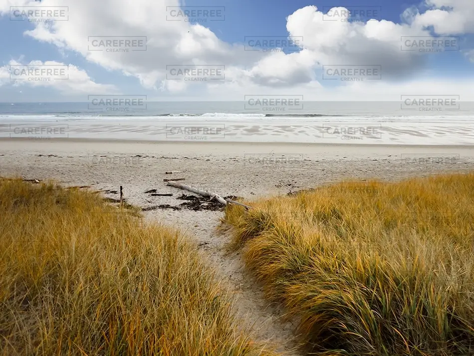 General Section Image