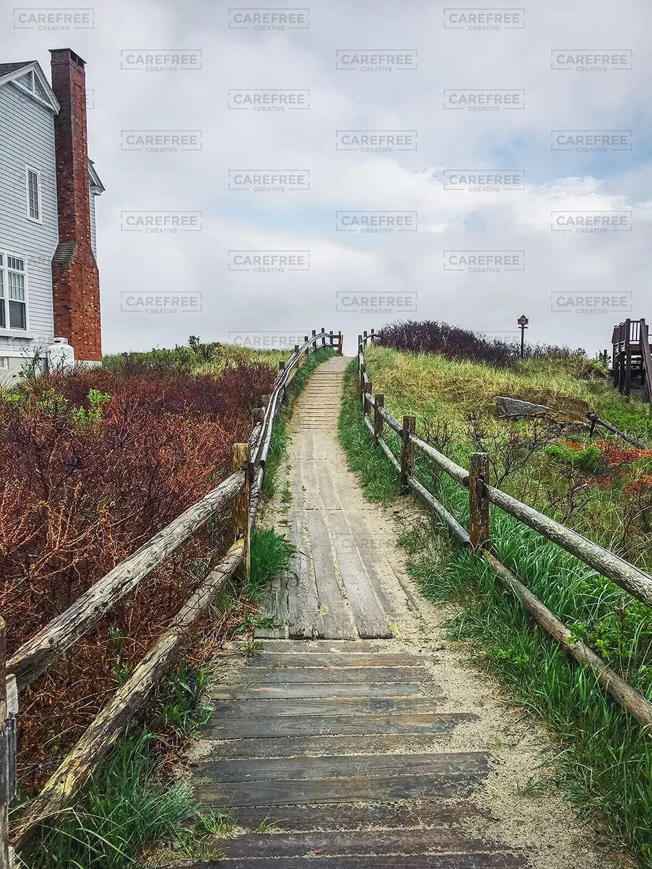 General Section Image