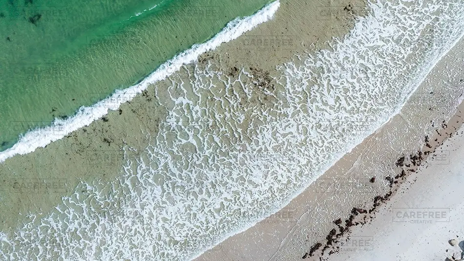 General Section Image