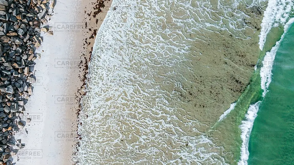 General Section Image