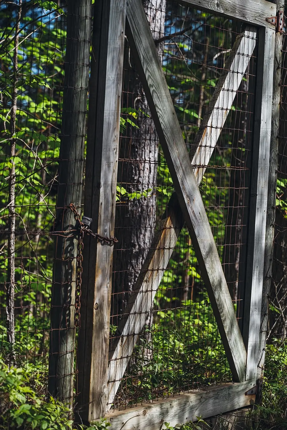 General Section Image