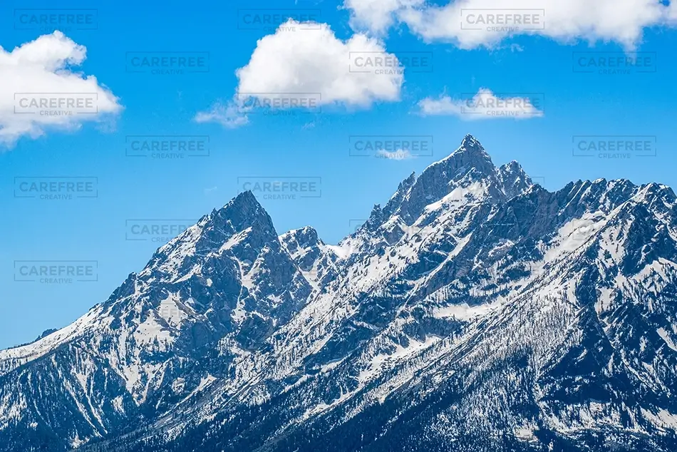 General Section Image