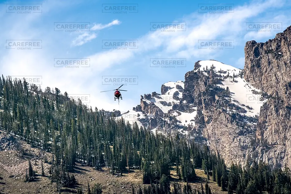 General Section Image