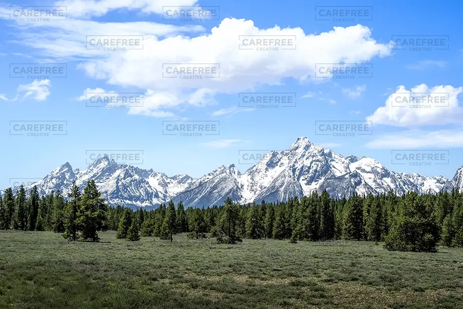 General Section Image