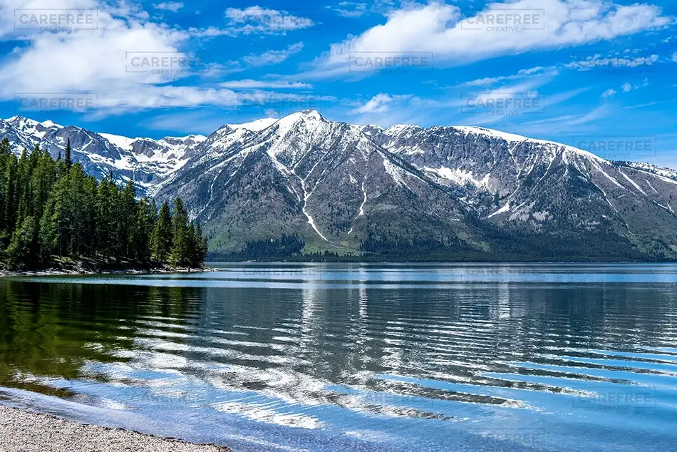 General Section Image