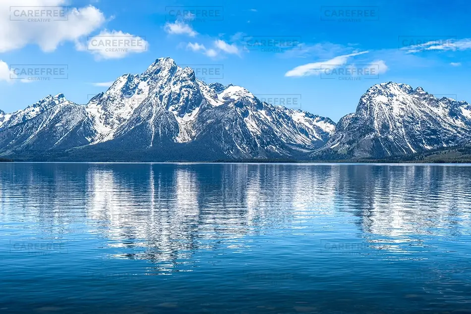 General Section Image