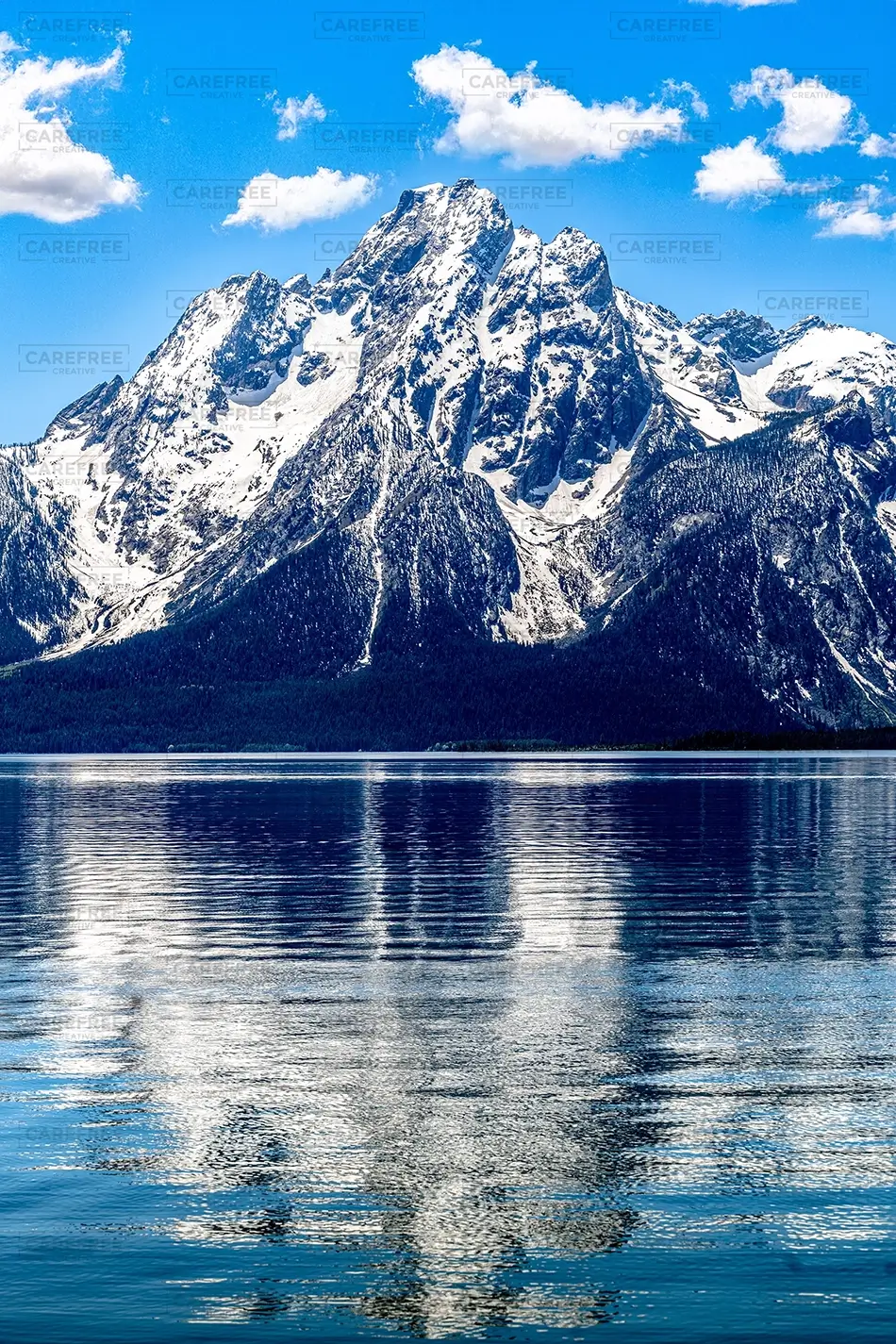 General Section Image