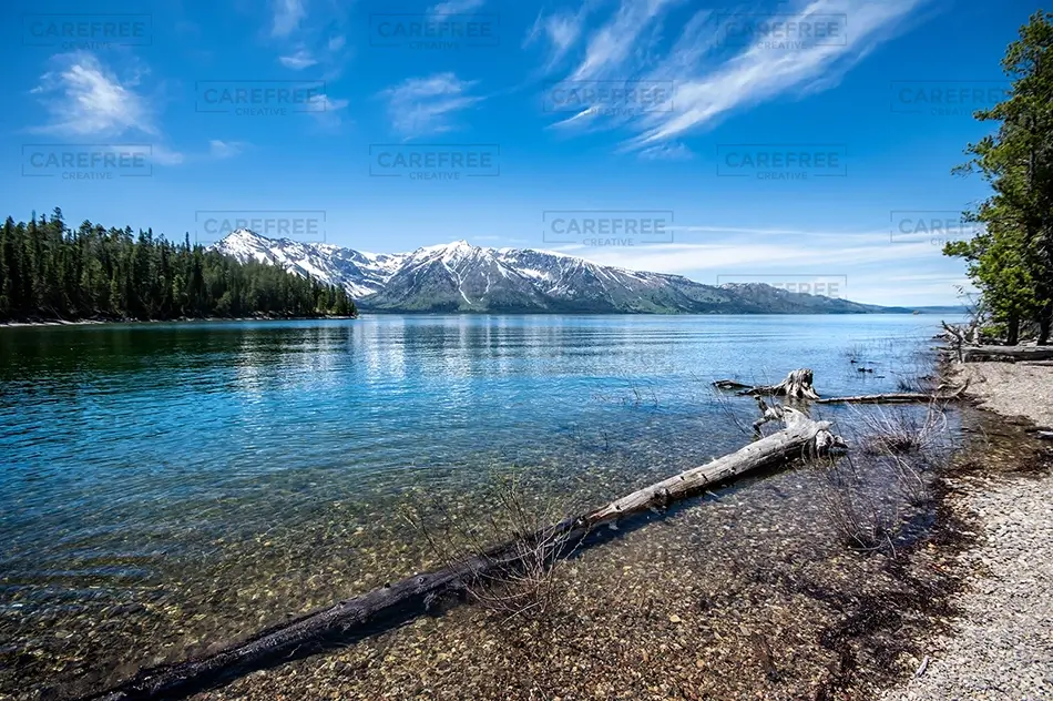 General Section Image