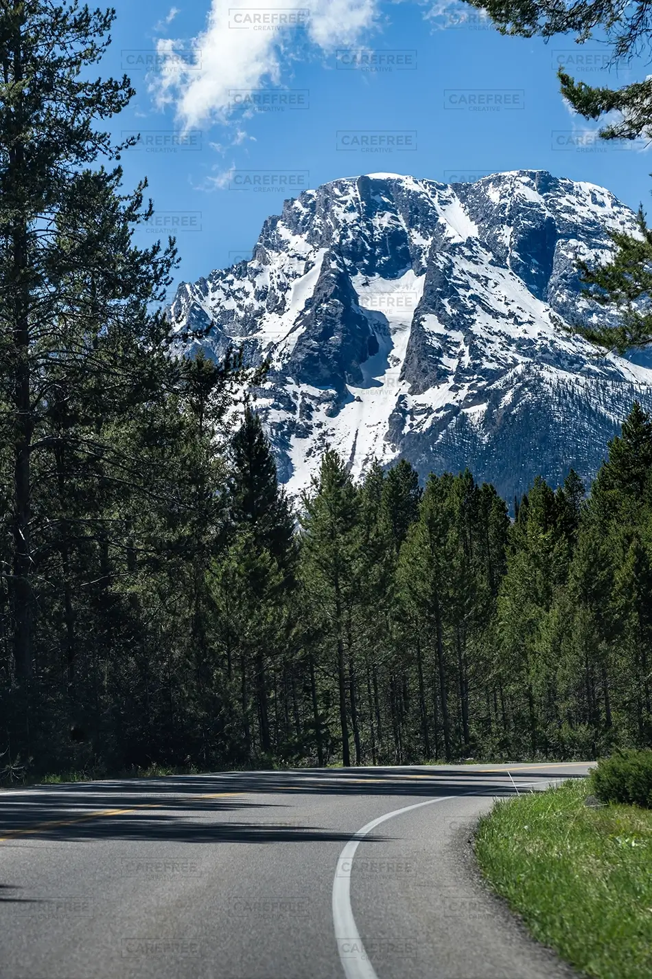 General Section Image