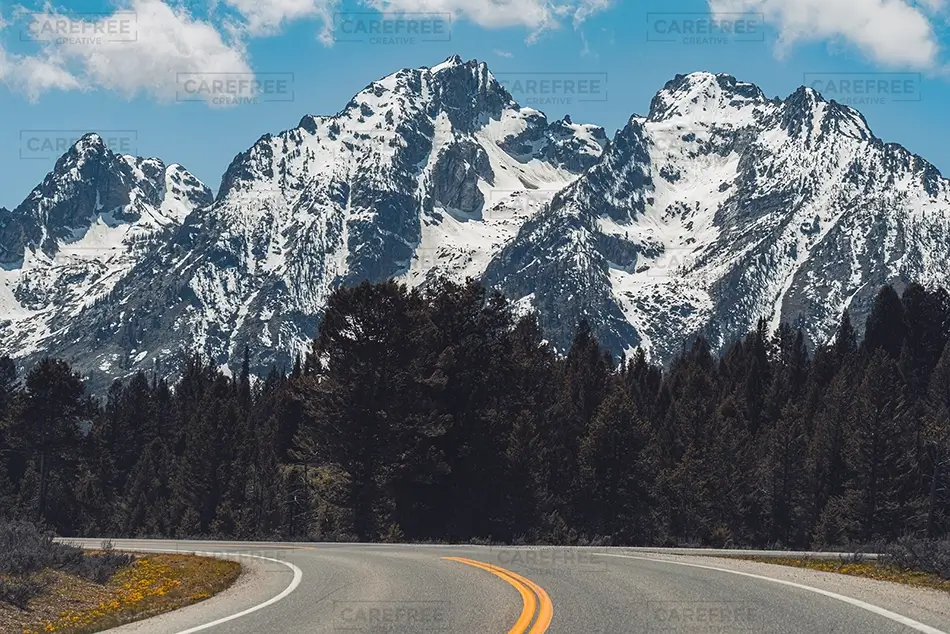 General Section Image