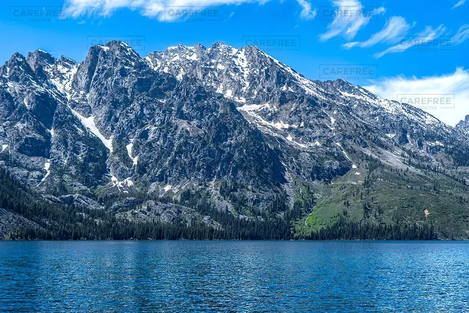 General Section Image