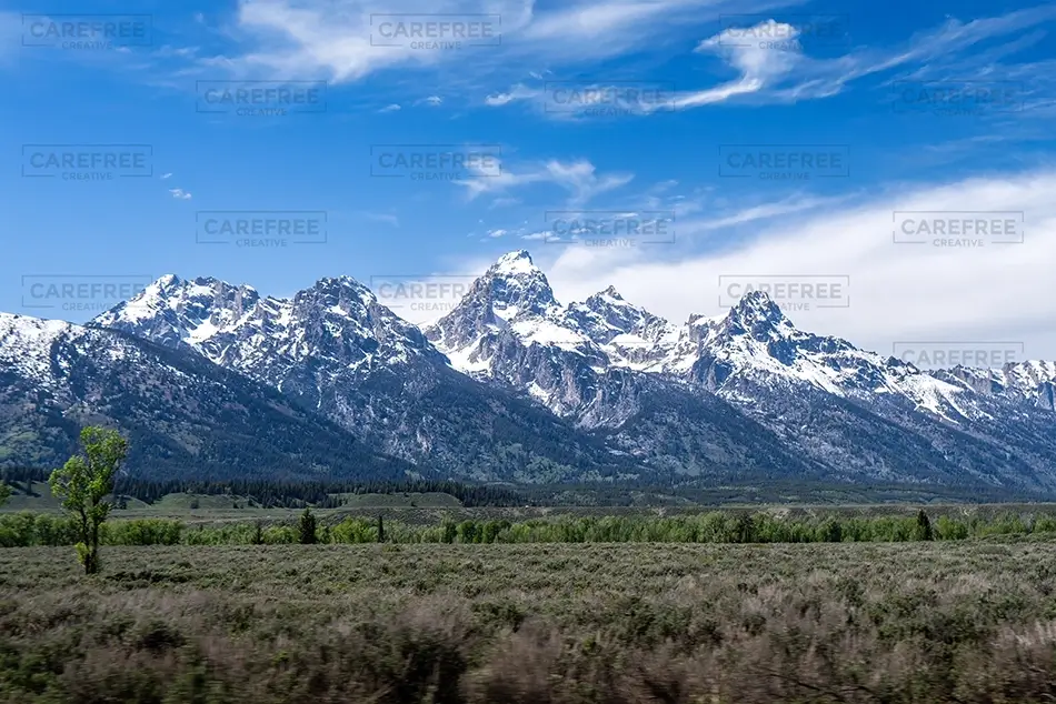 General Section Image