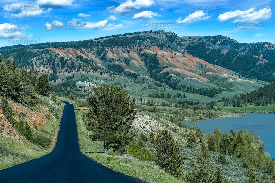 General Section Image