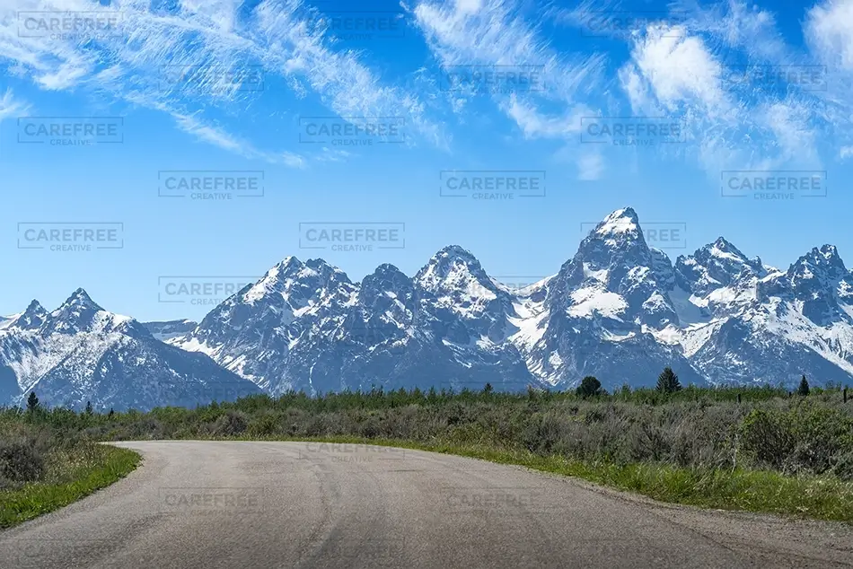 General Section Image