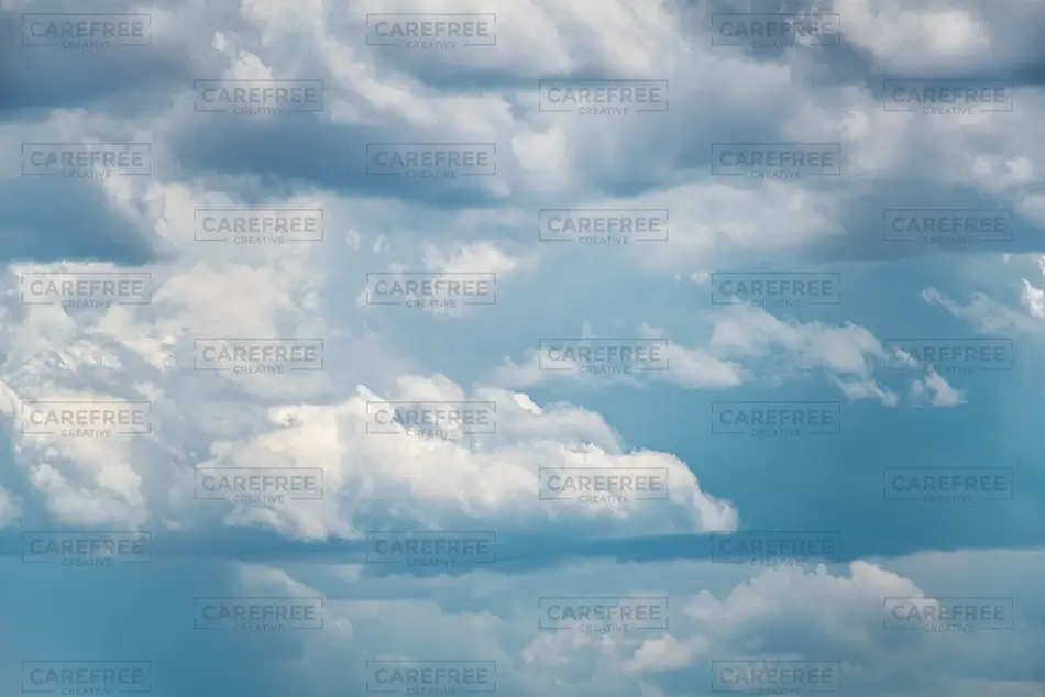 General Section Image