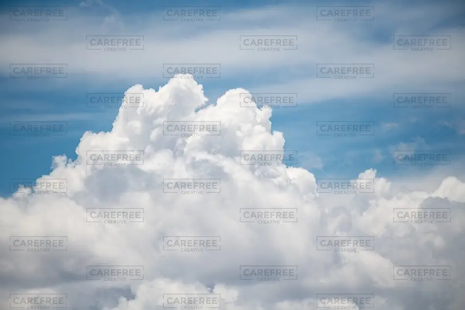 General Section Image