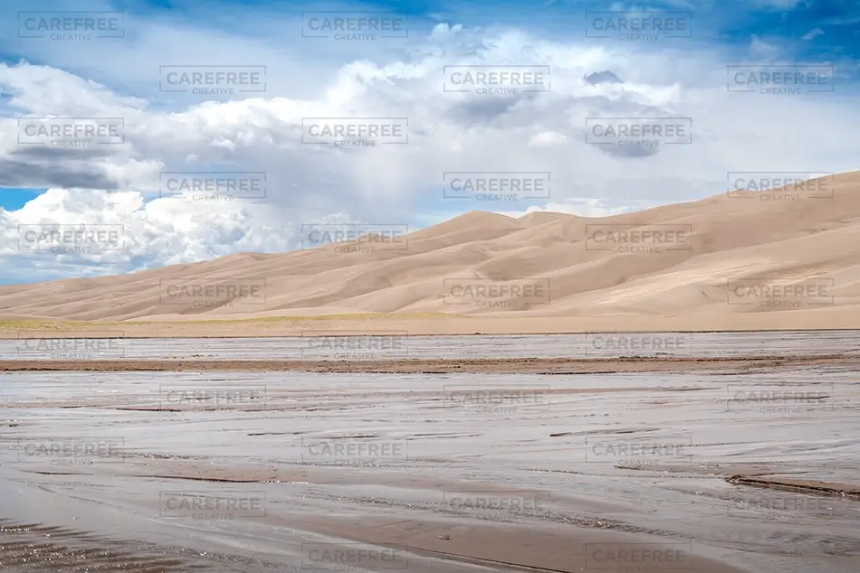 General Section Image