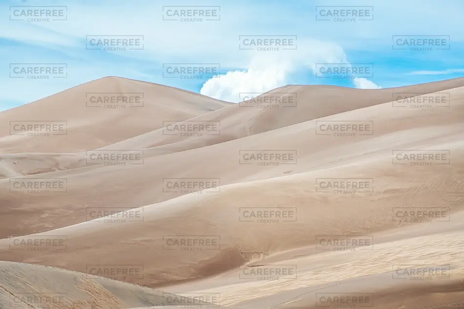 General Section Image