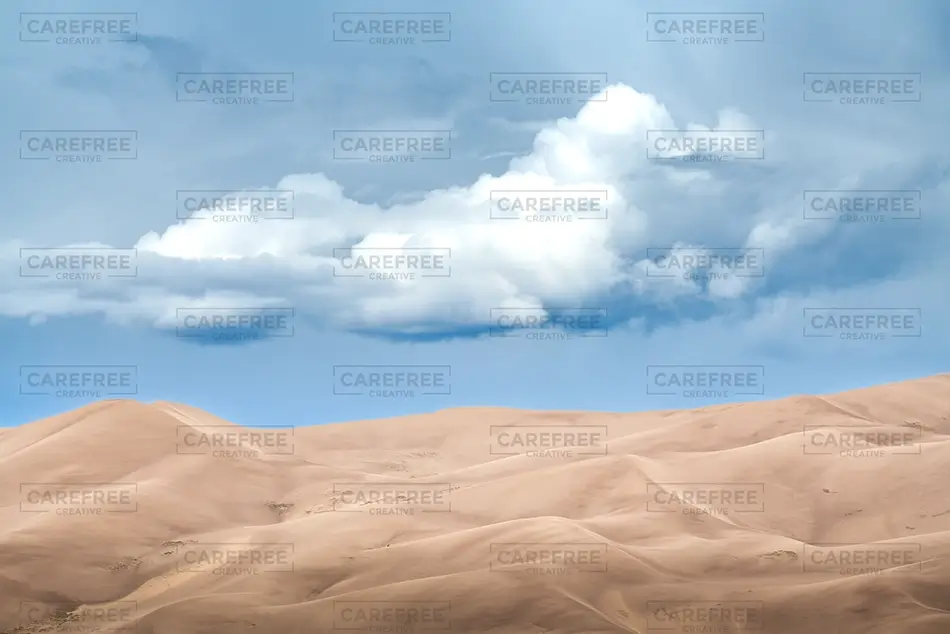 General Section Image