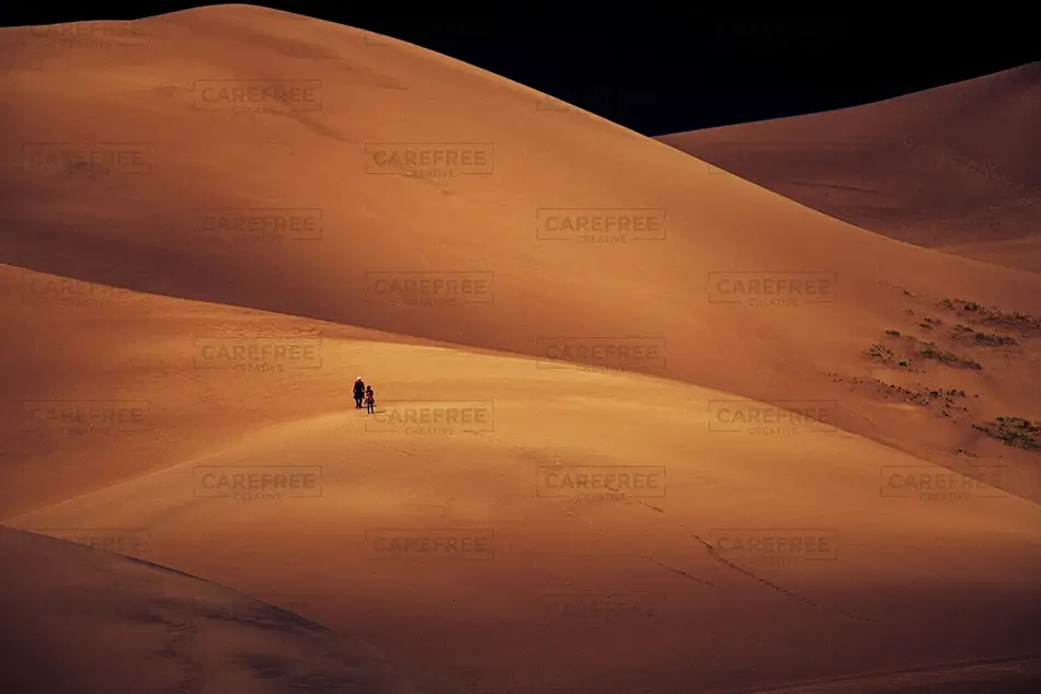 General Section Image