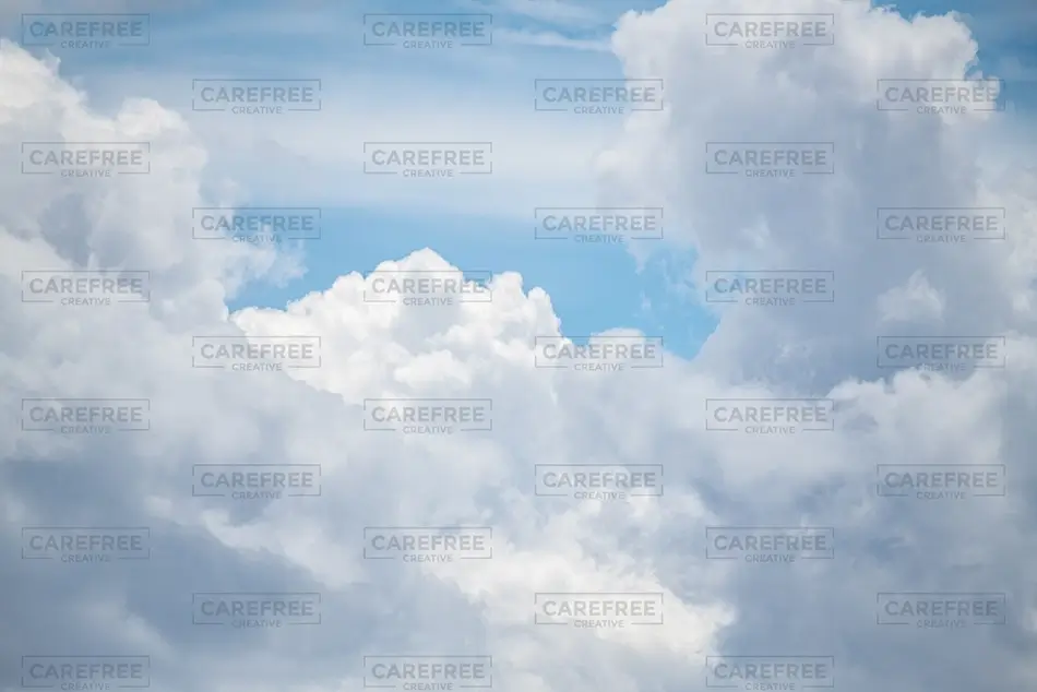 General Section Image