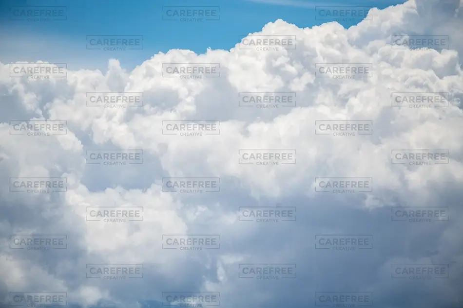 General Section Image