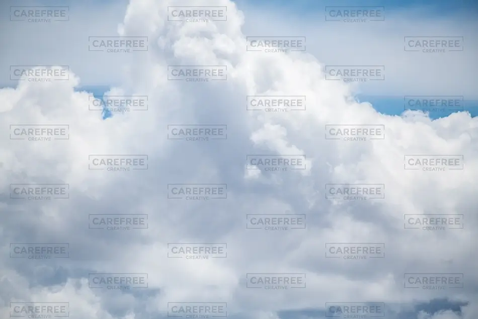 General Section Image