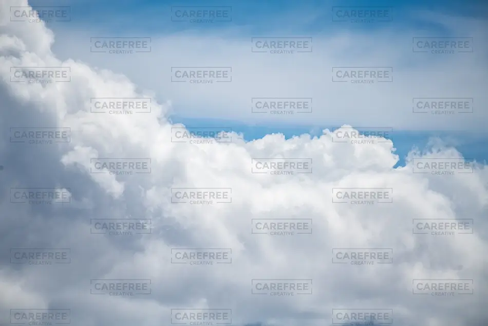 General Section Image