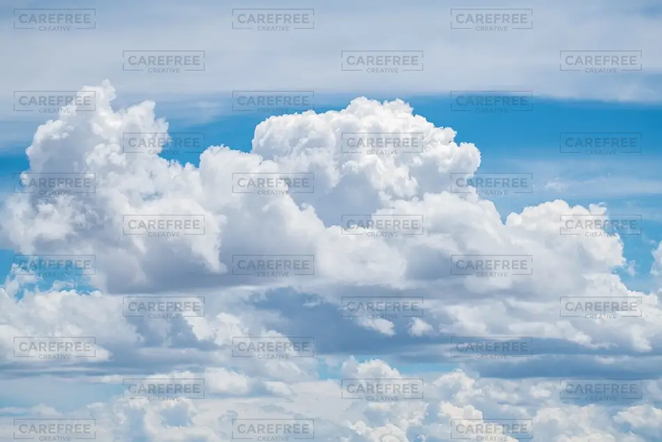 General Section Image