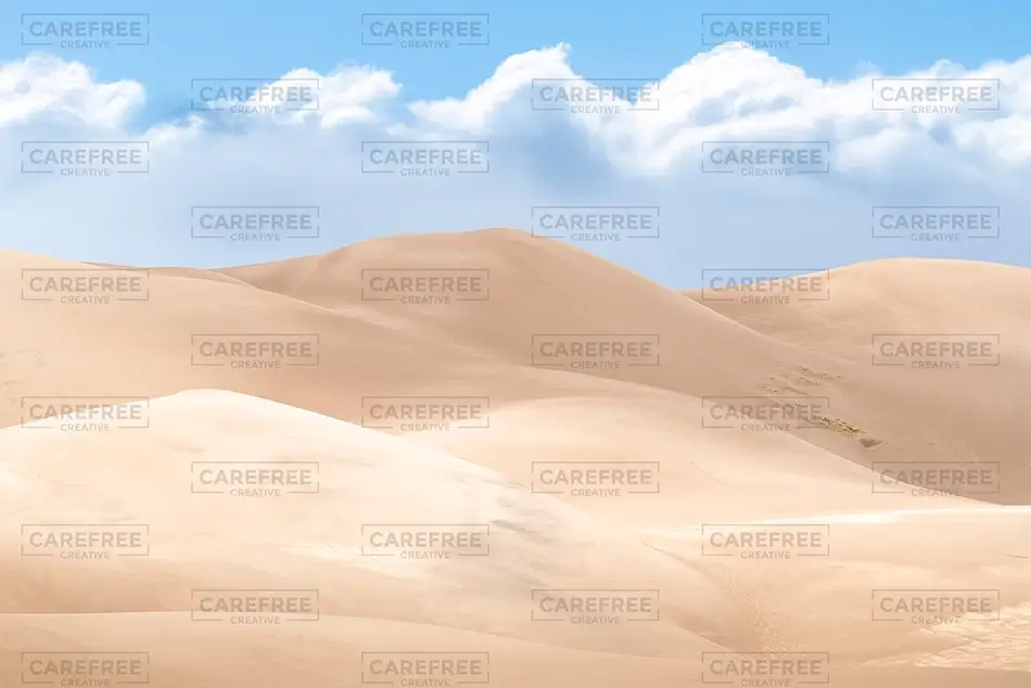 General Section Image