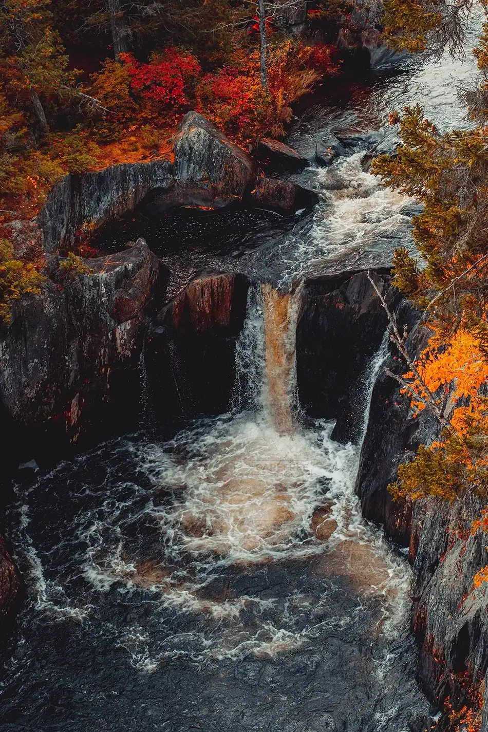 General Section Image