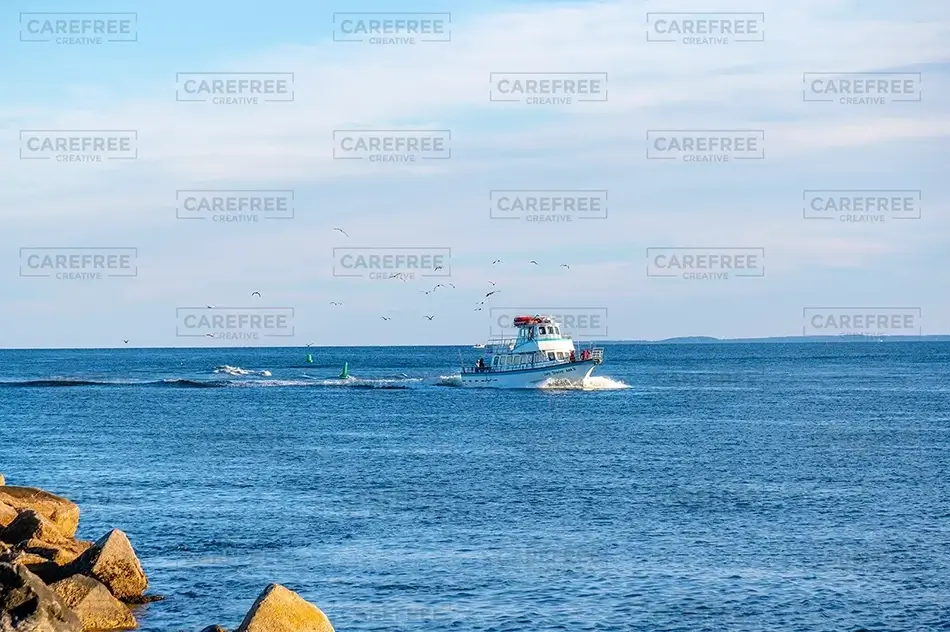 General Section Image