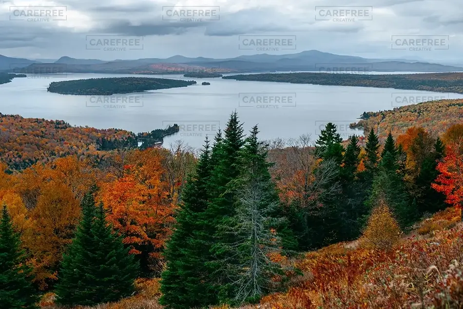 General Section Image