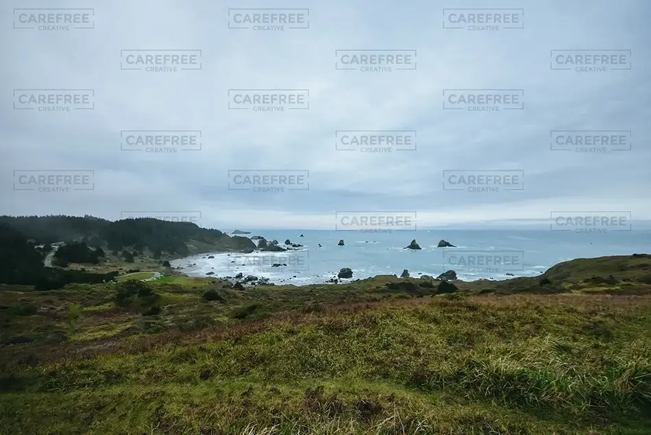 General Section Image