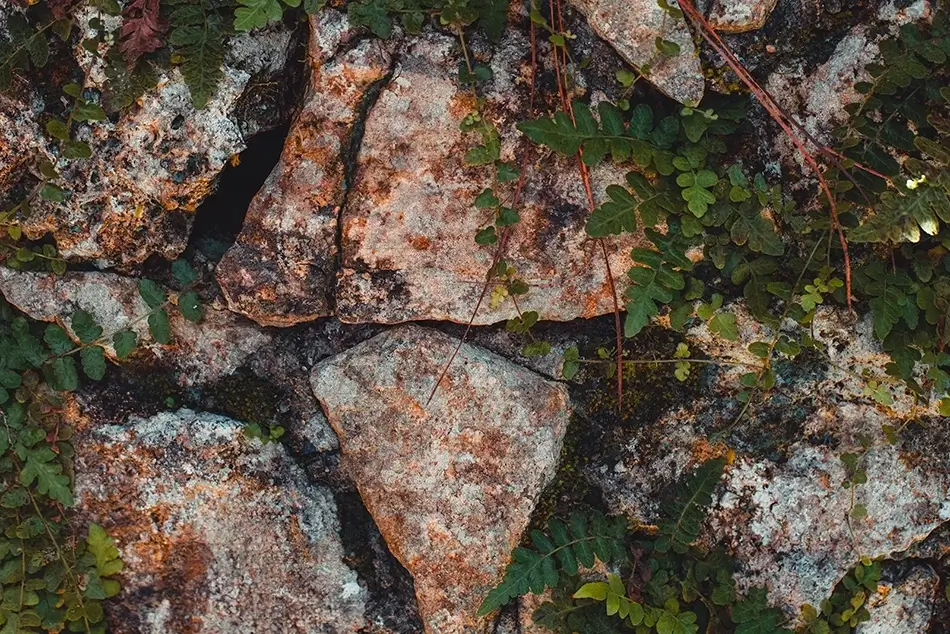 General Section Image