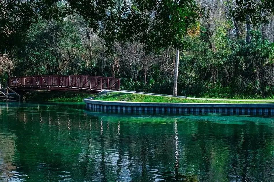 General Section Image