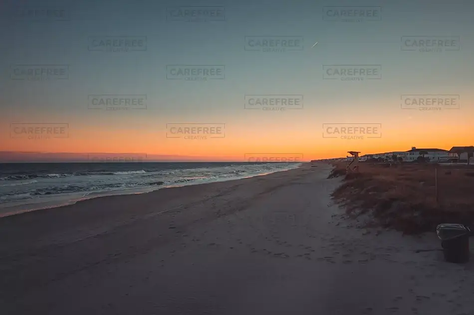 General Section Image