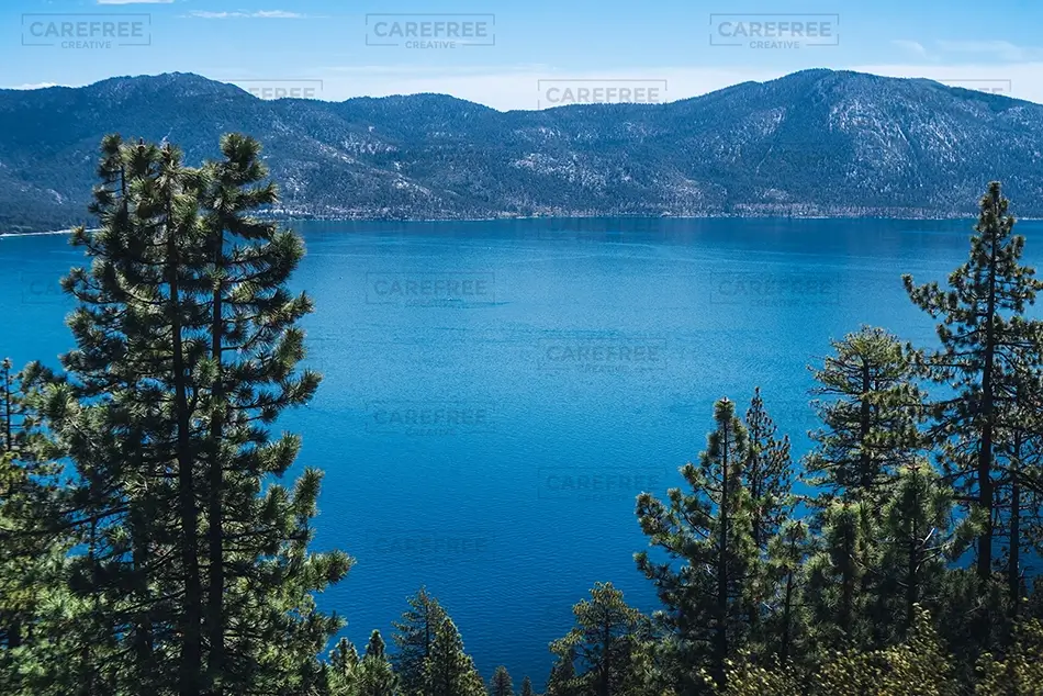 General Section Image