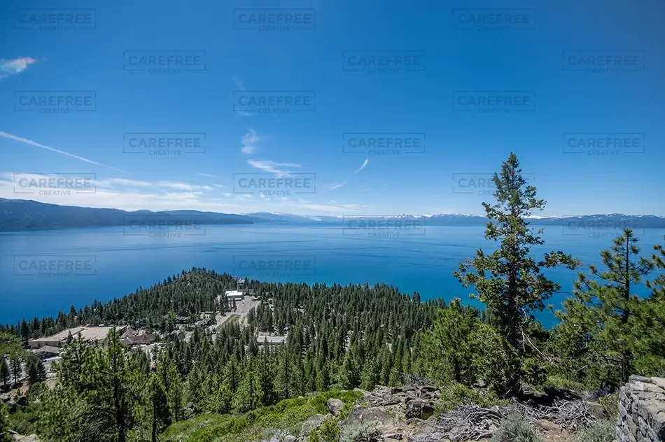 General Section Image