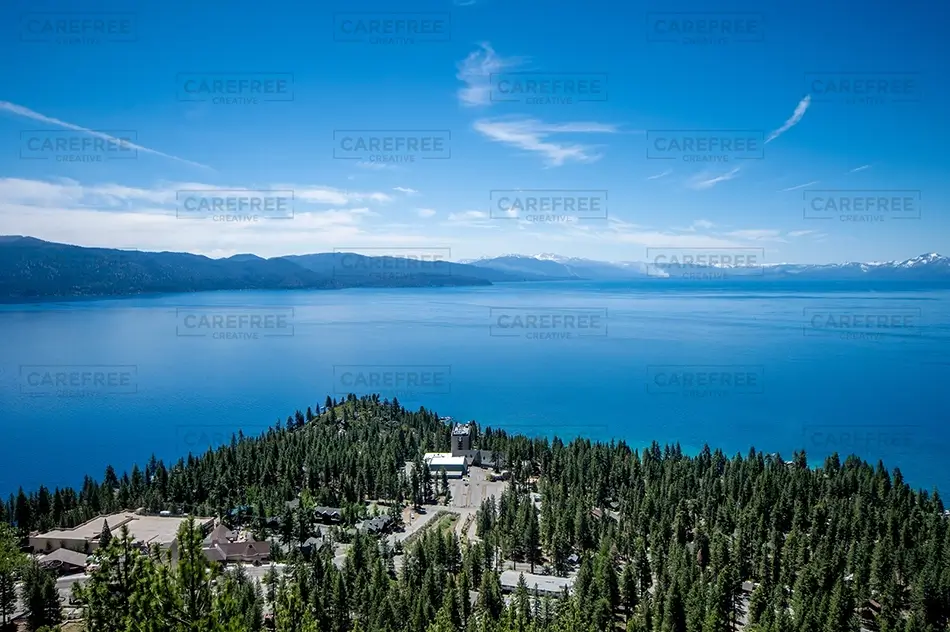 General Section Image