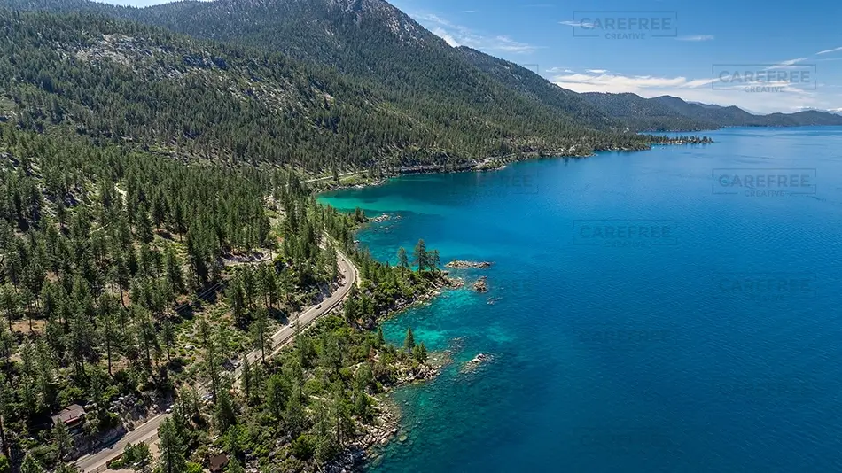 General Section Image